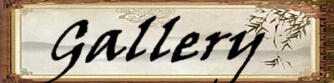 Gallery Gallery